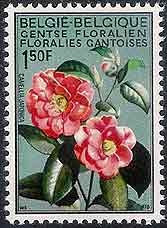 Camellia on Belgium Scott 734