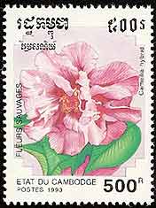 Camellia on Cambodia Scott 1267