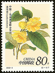 Camellia on China Scott 3180a