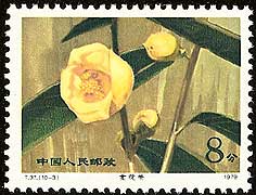 Camellia on China Scott 1531