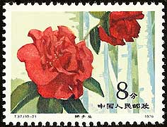 Camellia on China Scott 1532
