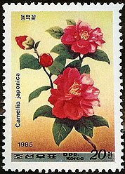 Camellia on North Korea Scott 2509