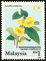 Camellia on Malaysia Scott 862