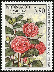 Camellia on Monaco Scott 2028