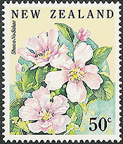 Camellia on New Zealand Scott 1111