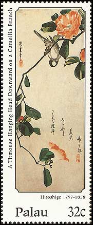 Camellia on Palau Scott 431