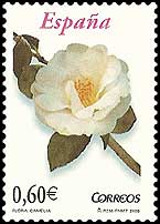 Camellia on Spain Scott 3542