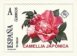 Camellia on Spanish personalized stamp