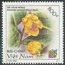 Camellia on Viet Nam Scott 3189