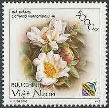 Camellia on Viet Nam Scott 3191