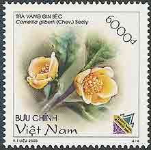 Camellia on Viet Nam Scott 3192