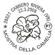 Camellia on French cancel