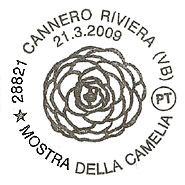 Camellia on French cancel