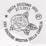 Camellia on French cancel