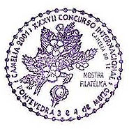 Camellia on Spanish cancel