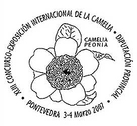 Camellia on Spanish cancel